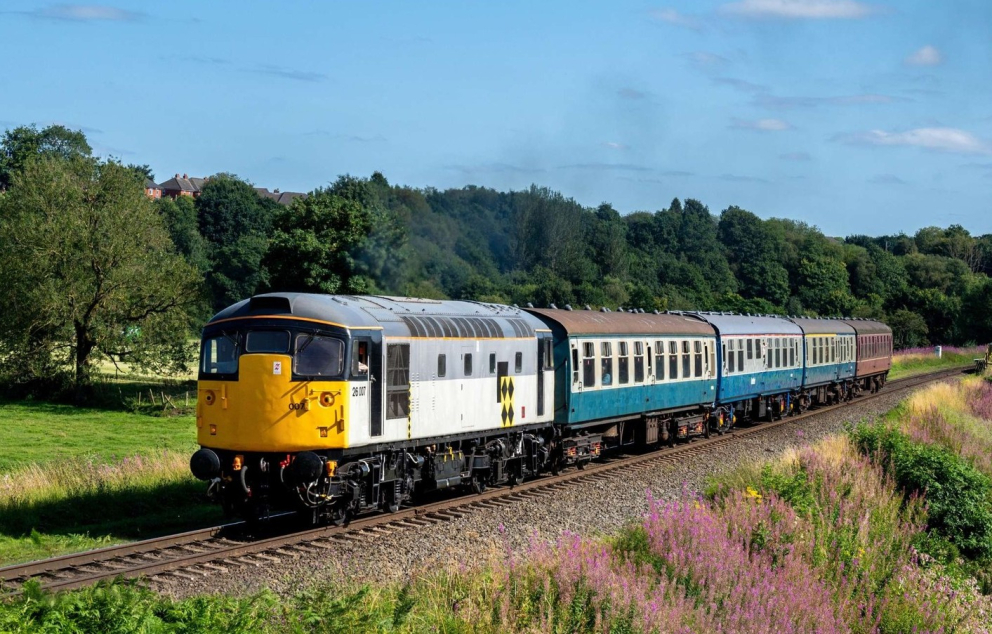 26007