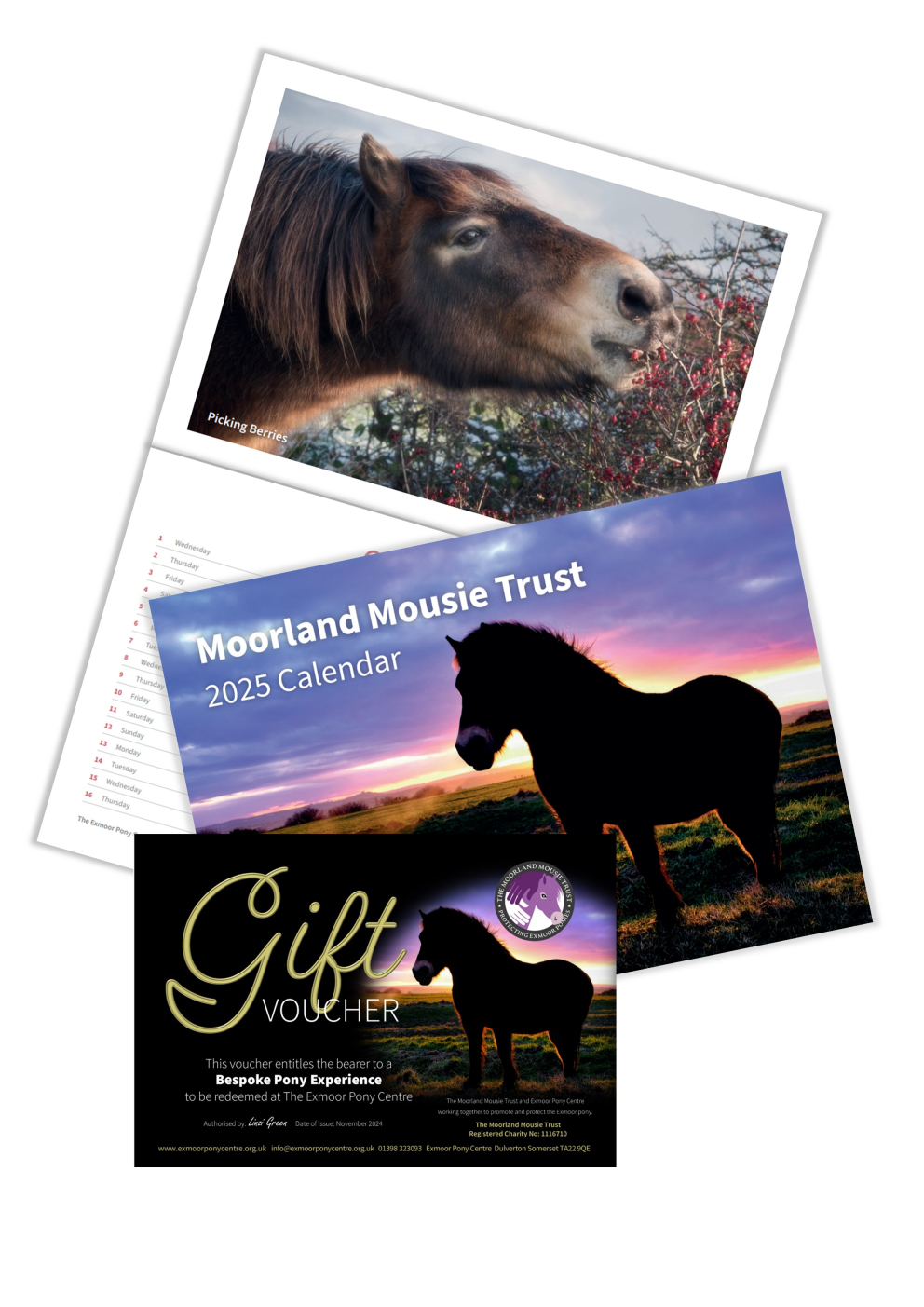 Moorland Mousie Trust & Exmoor Pony Centre