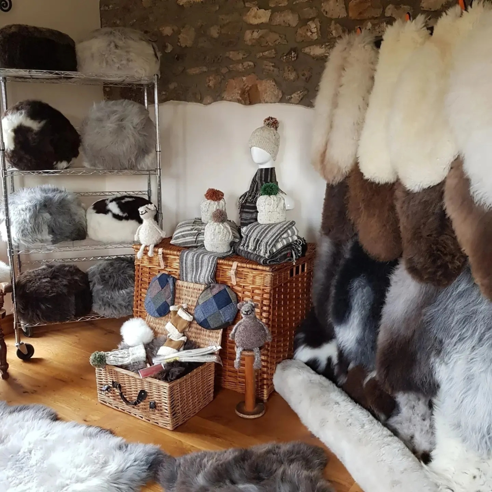 The Flintstone Flock