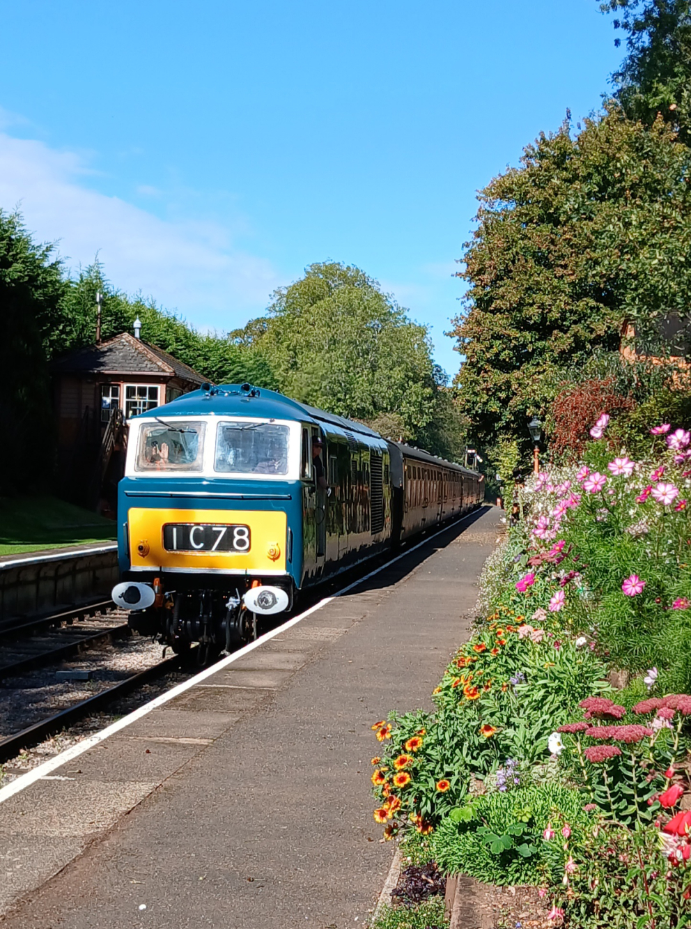 Hymek at Crowcombe Heathfield Station