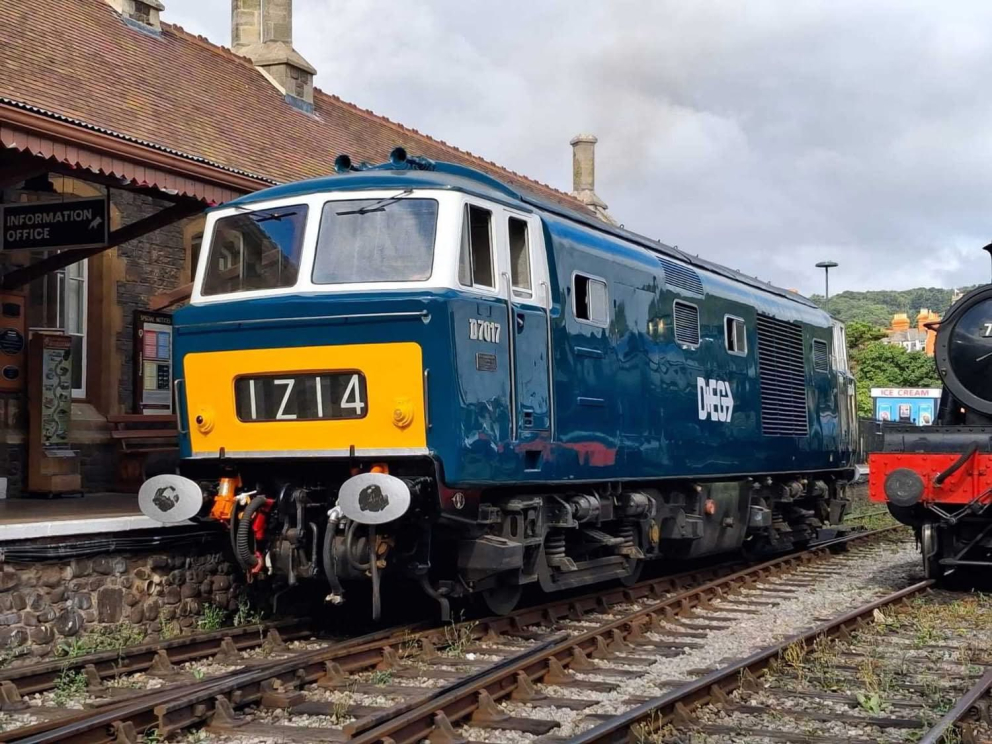 D7017