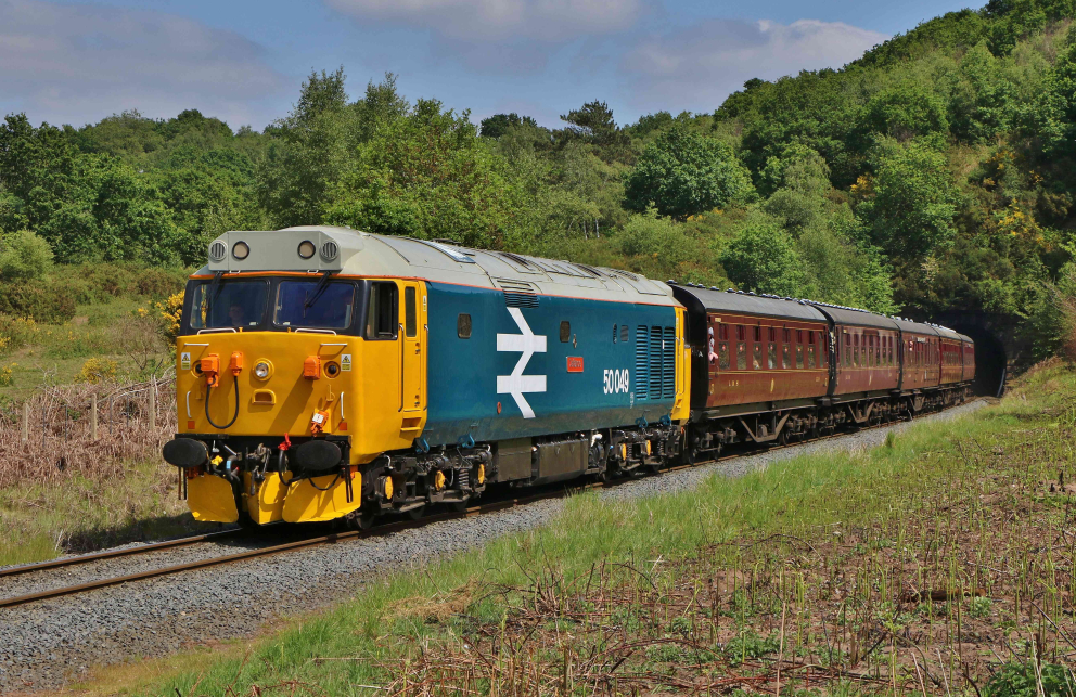 50049